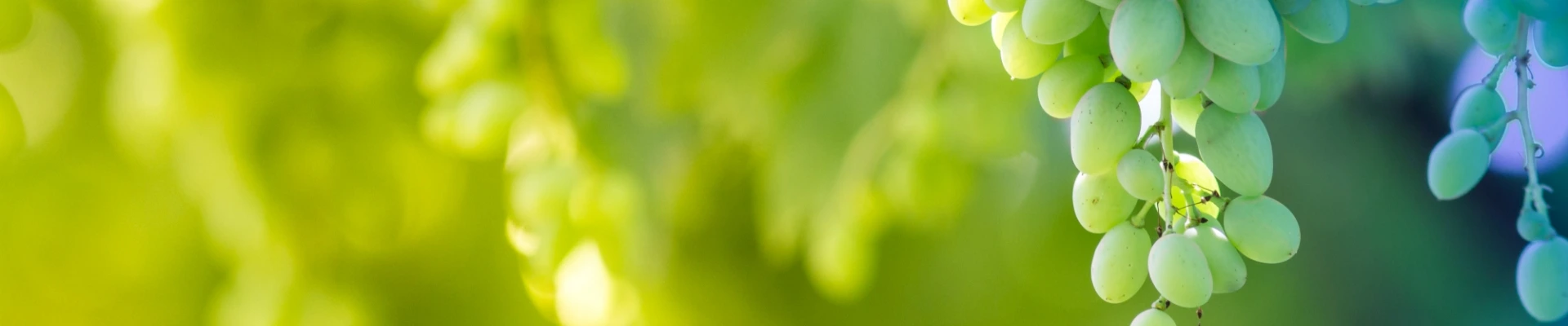 About us banner image